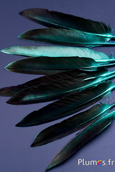 Gans blad - 12-18 cm - jade-koffie